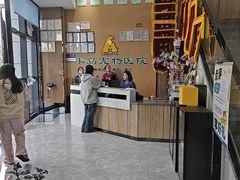 -半岛宠物医院24小时·内窥镜·牙科·碎石中心(府城大道店)