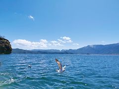-泸沽湖里格半岛
