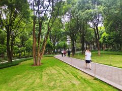 -重庆市江北嘴中央商务区中央公园