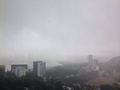 -大埔公路-马料水段香港中文大学(公交站)