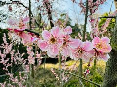 -南京雨花台风景区