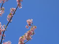 -新江湾城公园