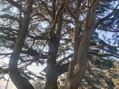 -青岛德国总督楼旧址博物馆