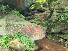 -庐山风景区花径公园