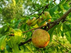 -汉长安城未央宫国家考古遗址公园