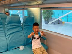 -龙阳路磁悬浮列车总站-停车场