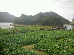 -广州市石门国家森林公园