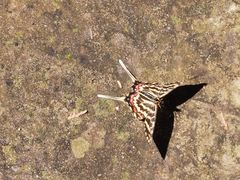 -北京上方山国家森林公园