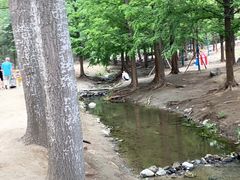 -白水寺森林公园