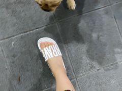 -顺德哥卜卜贝(旗舰店)