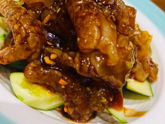 老醋哲头-新时代大酒店(仰口路店)