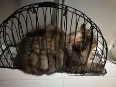 -MOLLY'S萌宠生活馆