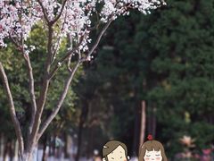 -白塘生态植物园