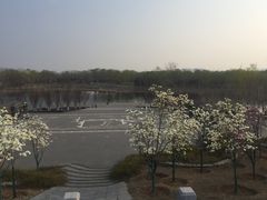 -永定河休闲森林公园