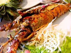 龙虾-Red Lobster