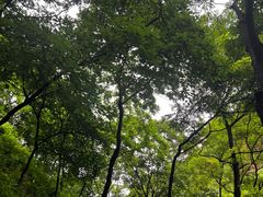 -湖洞水自然风景区