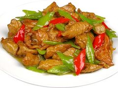 尖椒肥肠-郭家大院(新源店)