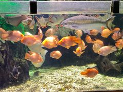 -太平洋海底世界