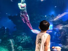 -涛·海底餐厅·美人鱼·自助餐·海底隧道(三亚海棠湾洲际度假酒店)
