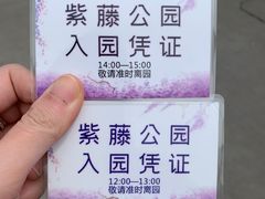 -嘉定紫藤园