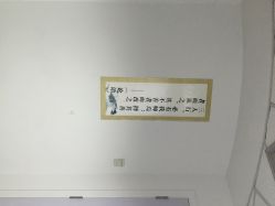 上海雅婷钢管舞(普陀店)-柯宏＆雅婷塑形钢管舞蹈
