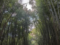 -西湖风景区十里琅珰-五云山