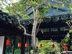 -上海醉白池公园