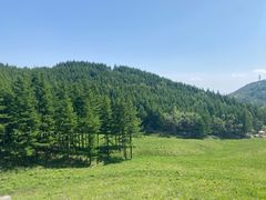 -驼梁风景区