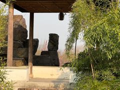 -苏州上方山国家森林公园