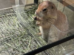 -瑞虹新天地月亮湾