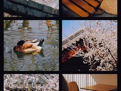 -三里河公园