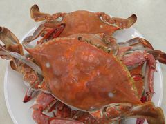 -人和啤酒屋海鲜大排档(营口路店)
