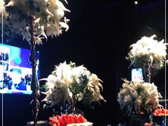 -黑桃K生日订制KTV