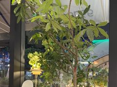 -gaga(深圳南山益田假日广场店)