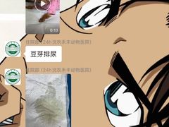 -派美特宠物医院·核磁CT·骨科肿瘤·疑难转诊(沈农禾丰店)