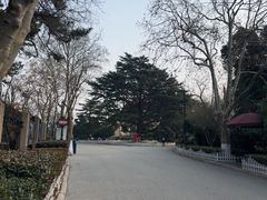 -青岛德国总督楼旧址博物馆