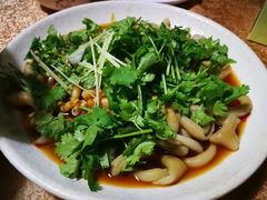 -绿华园休闲山庄
