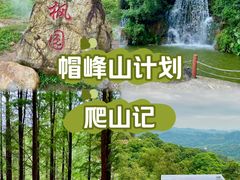 -广州市帽峰山景区