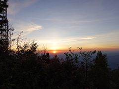 -武陵山森林公园