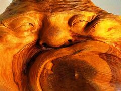 -蓬莱仙岛