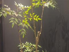 -浩运·海鲜青岛菜·海胆水饺(石老人店)