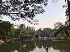 -晓港公园