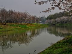 -上海海湾国家森林公园