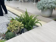 -喜茶(珠海华发商都店)