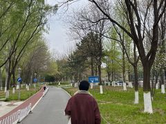 -望湖公园