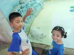 -华夏文旅西安度假区