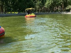 -长白岛森林公园