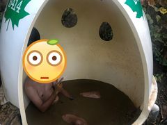 -100蛋泥浆浴