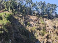 -火炉山森林公园