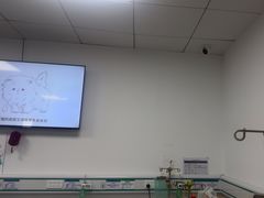 -中国农业大学动物医院